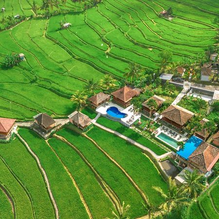 Villa Sande Munduk  Luaran gambar